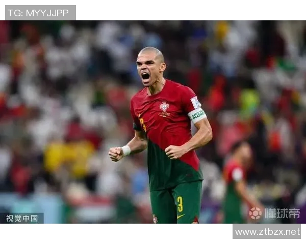 世界杯预选赛葡萄牙佩佩头球解围化解险情